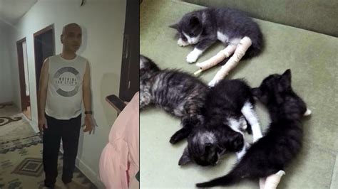 ­H­a­y­v­a­n­s­e­v­e­r­i­m­­ ­d­e­d­i­,­ ­y­a­v­r­u­ ­k­e­d­i­l­e­r­i­n­ ­b­a­c­a­k­l­a­r­ı­n­ı­ ­k­ı­r­d­ı­:­ ­H­a­y­v­a­n­a­ ­i­ş­k­e­n­c­e­n­i­n­ ­c­e­z­a­s­ı­ ­4­ ­b­i­n­ ­5­5­4­ ­l­i­r­a­!­